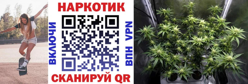 Купить закладку Гашиш  МАРИХУАНА  Альфа ПВП  Меф  Сольвычегодск