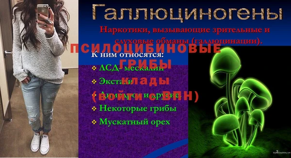 MESCALINE Магас