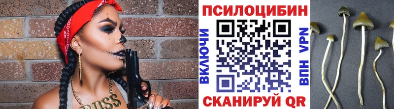 Купить  Сольвычегодск  Псилоцибиновые грибы прущие грибы 